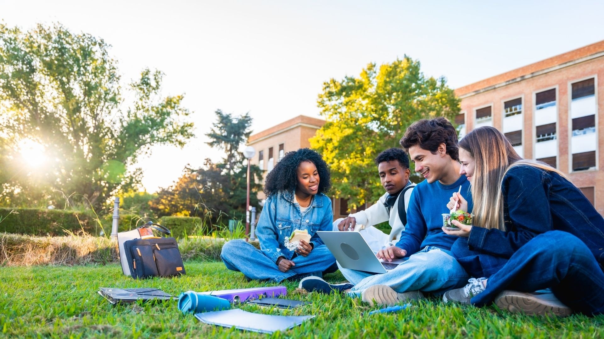 Undergraduate students studying together on the grass outside a university building